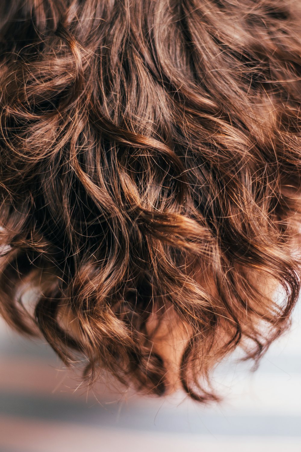 Gros plan sur des cheveux bouclés